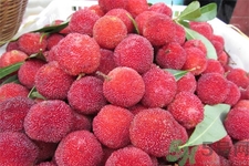 楊梅怎么洗？楊梅怎么保存？