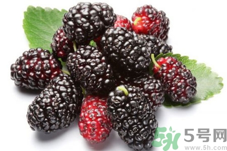 桑葚怎么洗？桑葚怎么保存？