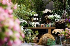 野獸派是什么牌子？野獸派怎么樣？