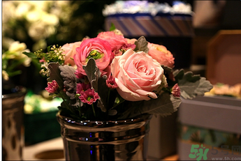 野獸派是什么牌子？野獸派怎么樣？