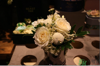 野獸派是什么牌子？野獸派怎么樣？