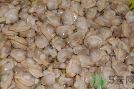 花蛤的營(yíng)養(yǎng)價(jià)值有哪些？生取蛤肉的方法是什么？