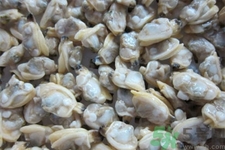 花蛤的營(yíng)養(yǎng)價(jià)值有哪些？生取蛤肉的方法是什么？