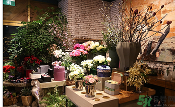 野獸派的花多少錢？野獸派的花哪里買？