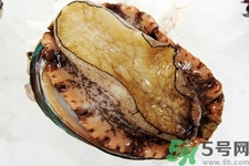 鮑魚如何挑選？鮑魚如何保存？