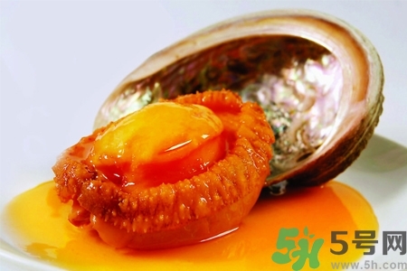 鮑魚如何挑選？鮑魚如何保存？