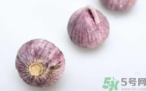 三伏貼的配方是什么？三伏貼的配方有哪些？