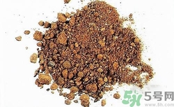 三伏貼的配方是什么？三伏貼的配方有哪些？