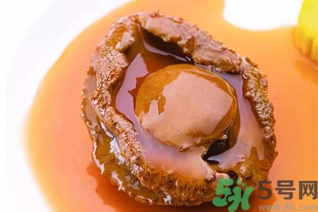 鮑魚如何挑選？鮑魚如何保存？