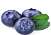 怎么挑選藍莓？藍莓怎么保存？