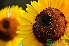 立秋后天氣還熱嗎？立秋后還要熱多久？