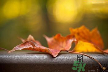 立秋是什么意思？立秋的含義