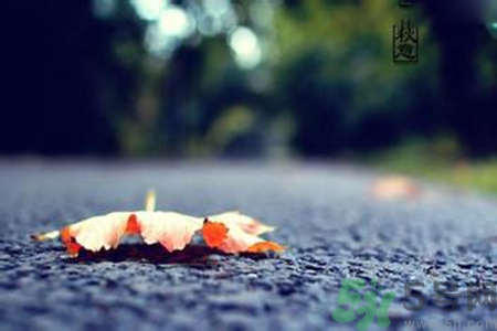 立秋吃什么水果好？立秋吃什么水果？