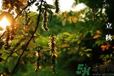 立秋吃什么水果好？立秋吃什么水果？