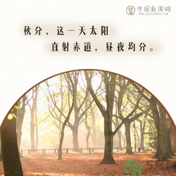 立秋是秋分嗎？立秋和秋分的區(qū)別？