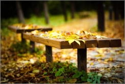 立秋出生的孩子怎么取名？立秋出生的孩子的命運(yùn)？