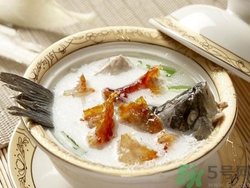 煲湯用什么魚好?什么魚適合煲湯? 煲湯用什么魚好?什么魚適合煲湯?