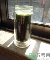 大麥若葉青汁怎么泡?大麥若葉青汁沖泡法 大麥若葉青汁怎么泡?大麥若葉青汁沖泡法