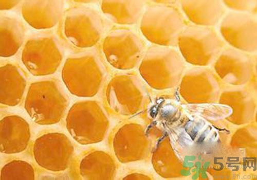 蜂膠有激素嗎？蜂膠吃多了會怎樣？