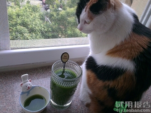 大麥若葉青汁沖飲時(shí)的沉淀物能喝嗎?