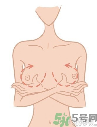 16歲女生的標(biāo)準(zhǔn)胸圍是多少？16歲女孩的胸有多大圖片