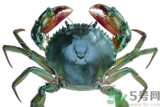 螃蟹死了還能吃嗎？螃蟹怎么清洗？