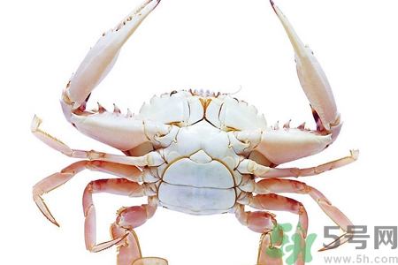 螃蟹死了還能吃嗎？螃蟹怎么清洗？