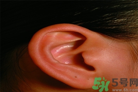 耳朵嗡嗡響怎么回事？耳朵嗡嗡響怎么辦？