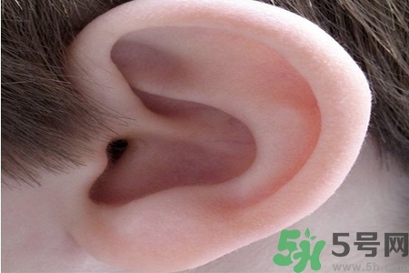 耳朵癢是怎么回事？耳朵癢怎么辦？