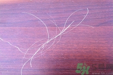 生完寶寶白頭發(fā)的原因？生完寶寶白頭發(fā)怎么辦？