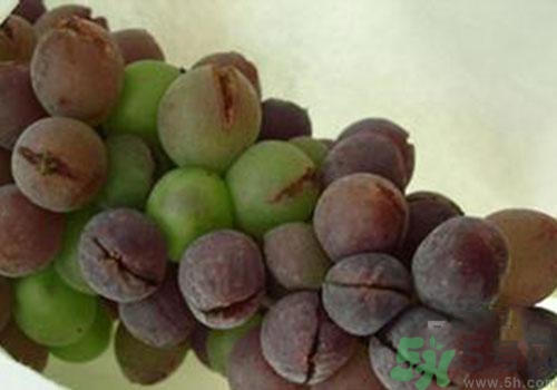 葡萄是幾月份的水果？葡萄什么時候上市？