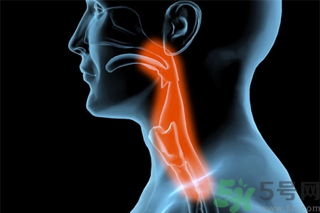 癲癇的發(fā)病因素？癲癇的并發(fā)癥有哪些？