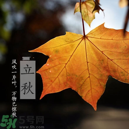 早立秋是什么?早立秋和晚立秋的區(qū)別 早立秋是什么?早立秋和晚立秋的區(qū)別