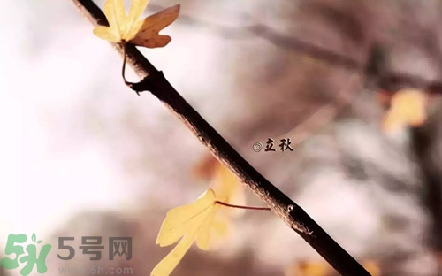 早立秋是什么?早立秋和晚立秋的區(qū)別 早立秋是什么?早立秋和晚立秋的區(qū)別