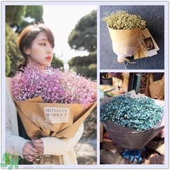 七夕送女朋友什么花？七夕送女朋友花送幾朵？