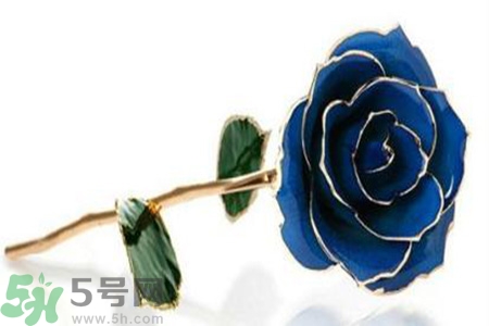 七夕送女朋友什么花？七夕送女朋友花送幾朵？