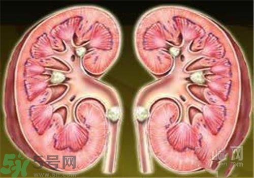 慢性腎炎能治好嗎？慢性腎炎能活多久？