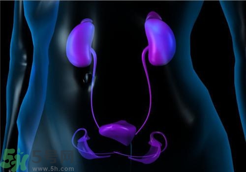 慢性腎炎能治好嗎？慢性腎炎能活多久？