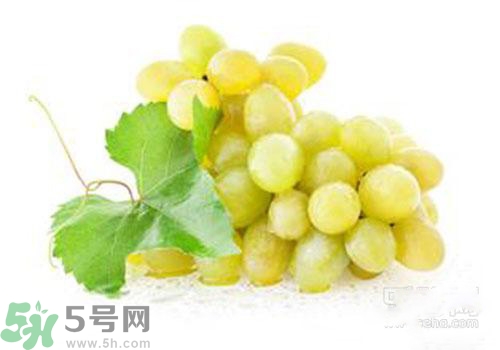 葡萄的功效作用 葡萄的禁忌和營養(yǎng)價值 葡萄的功效作用 葡萄的禁忌和營養(yǎng)價值