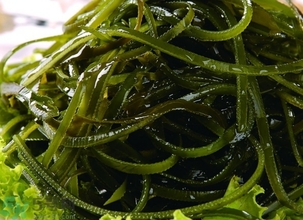 海帶的營養(yǎng)價值 海帶的功效與作用及食用方法 海帶的營養(yǎng)價值 海帶的功效與作用及食用方法