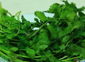 吃香菜有什么好處?香菜的功效與作用及食用方法 吃香菜有什么好處?香菜的功效與作用及食用方法