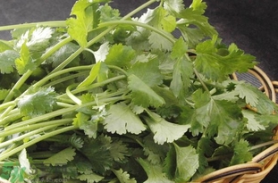 吃香菜有什么好處?香菜的功效與作用及食用方法 吃香菜有什么好處?香菜的功效與作用及食用方法