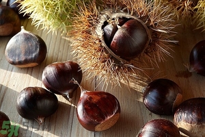 吃生板栗有什么好處?生板栗的營養(yǎng)價(jià)值 吃生板栗有什么好處?生板栗的營養(yǎng)價(jià)值
