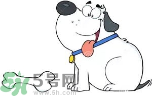 七夕單身狗怎么過(guò)？單身怎么過(guò)七夕？