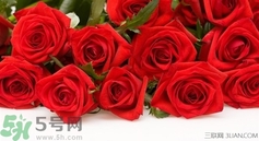 七夕和女朋友怎么過？七夕和女朋友說什么？