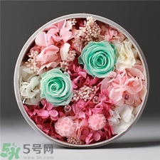 永生花是什么?永生花是真花嗎? 永生花是什么?永生花是真花嗎?