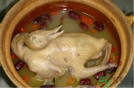 孕婦可以喝鴿子湯嗎？鴿子湯的功效與作用