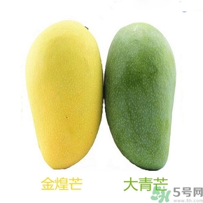 青芒和黃色芒果哪個好？青芒和黃色芒果的區(qū)別