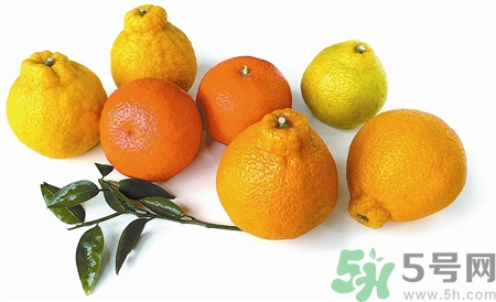 丑橘怎么保存?不知火丑八怪的保存方法 丑橘怎么保存?不知火丑八怪的保存方法