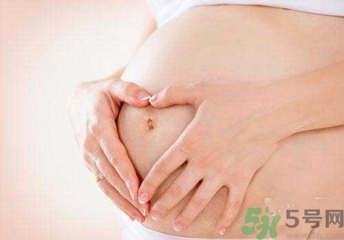 茲卡病毒通過什么途徑傳播？茲卡病毒的危害？